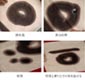 墨によるにじみの変化s.jpg