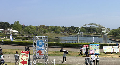 国営ひたち海浜公園