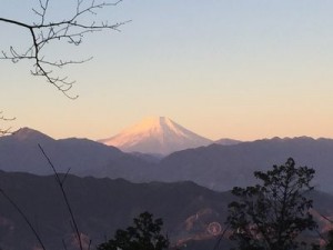 富士山