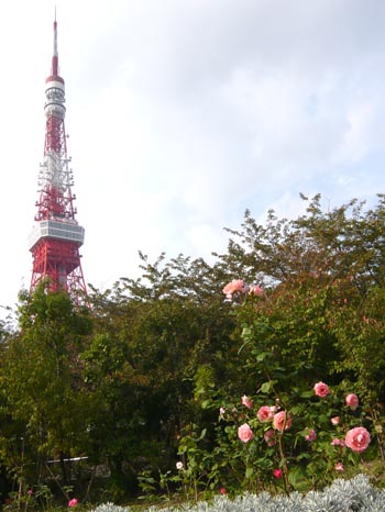 東京タワーとバラ1.jpg