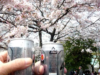 ビールと桜.jpg