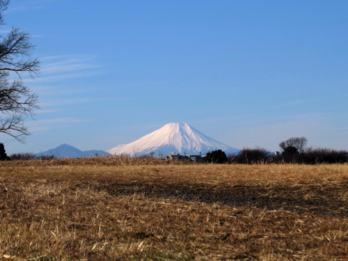 0101富士1784.jpg