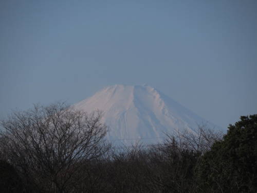 0102富士1336.jpg