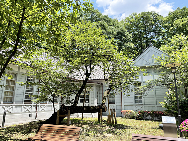 学習院 図書館