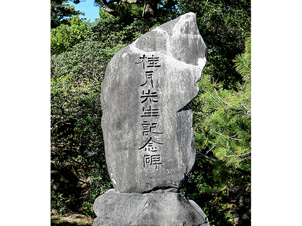 Amazon.co.jp: 『著名書家による石碑集成』日下部鳴鶴巌谷一六中