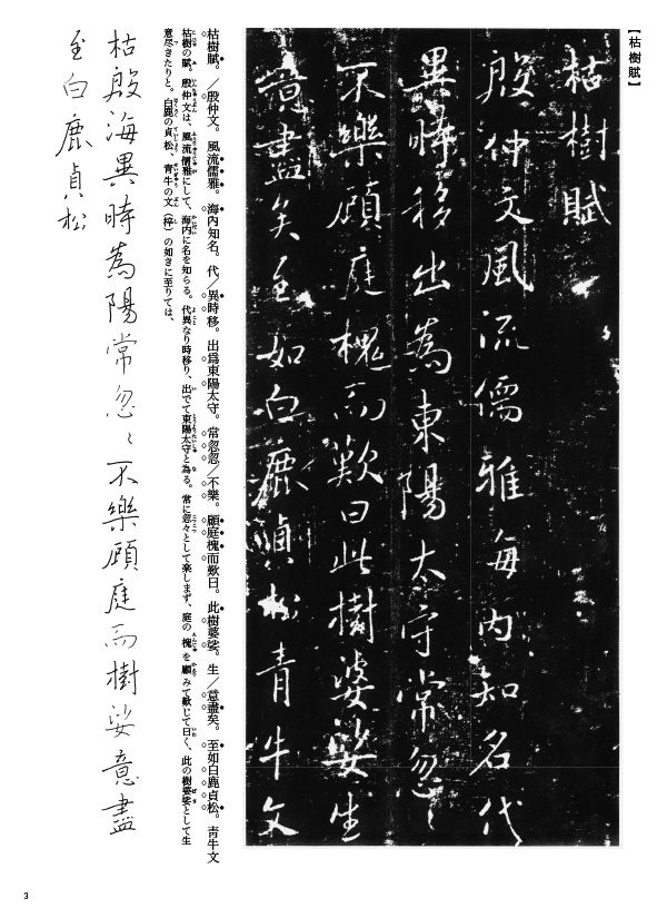 y*n様 原色法帖選21 褚遂良　枯樹賦　哀冊　二玄社　解説付き y*n様 原色法帖選21 褚遂良 枯樹賦 哀冊 二玄社 解説付き - メルカリ